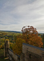 IMG_6636_01_skaliert.jpg IMG_6636_01_skaliert.jpg