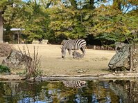 IMG20251019112102.jpg IMG20251019112102.jpg