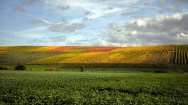 1761071629043.jpeg 1761071629043.jpeg