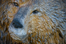 IMG_6789_01.jpg IMG_6789_01.jpg