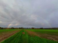 1761425812517.jpg 1761425812517.jpg