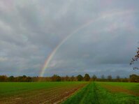 1761425812538.jpg 1761425812538.jpg