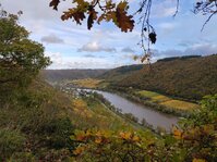 1761425812555.jpg 1761425812555.jpg