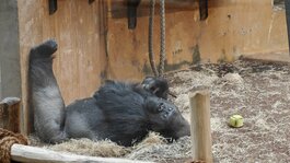 IMG20251026120958.jpg IMG20251026120958.jpg