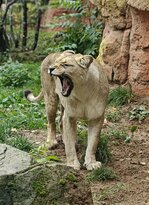 IMG_20251026_132224.jpg IMG_20251026_132224.jpg