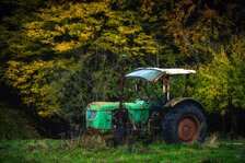 251102_Autumnal Bliss_001_Matt Rimkus.jpg