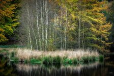 251102_Autumnal Bliss_010_Matt Rimkus.jpg