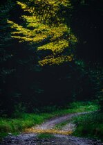 251102_Autumnal Bliss_013_Matt Rimkus.jpg