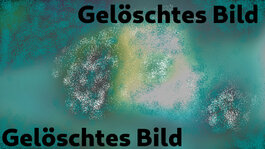 Gelöschtes Bild 22.jpg
