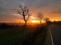 IMG_20251109_163554.jpg IMG_20251109_163554.jpg