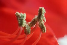 1763035427788.jpeg 1763035427788.jpeg