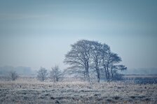 251228__001_Matt Rimkus.jpg