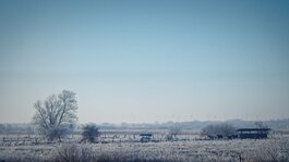 251228__002_Matt Rimkus.jpg