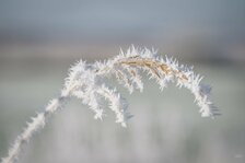 251228__005_Matt Rimkus.jpg