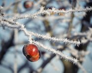 251228__007_Matt Rimkus.jpg