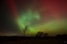 260119__003_Matt Rimkus.jpg