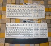 cherry_tatsta.jpg