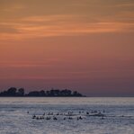260626_002_Matt Rimkus.jpg