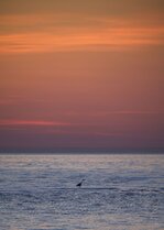 260626_003_Matt Rimkus.jpg