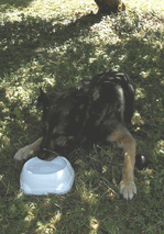 ben20260718c.gif