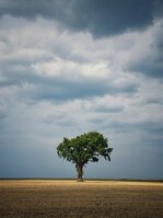 IMG_1128.jpg