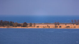 220322_001_Matt Rimkus.jpg