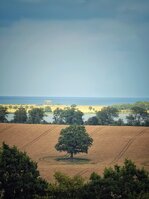 IMG_1119.jpg