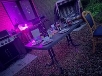IMG_7380.jpeg