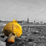 gelbe-Boje_Düsseldorf_Niedrigwasser_ergebnis.jpg