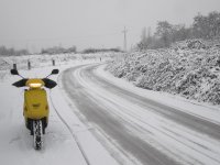 IMG_5838.jpg