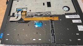 20260923_175535.jpg