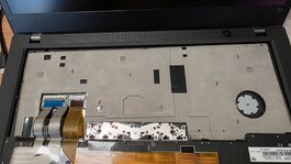 20260923_175547.jpg