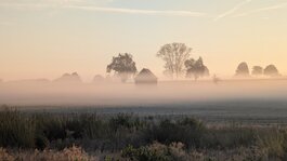 PXL_20260925_053917231.jpg