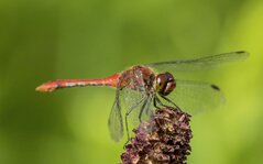 20130815_172023.jpg