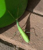 PXL_20260930_131242326_z.jpg