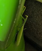 PXL_20260930_131249231_z.jpg