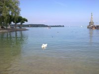 bodensee_1.jpg