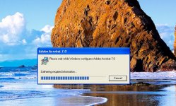 Acrobat.jpg