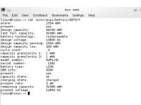 Linux_battery_info.JPG