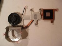 Fan_002.jpg