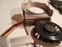 Fan_003.jpg