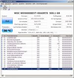 13.8.11.jpg