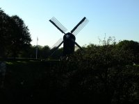 BoutangeDSCF0803.jpg