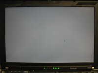 IMG_7287.JPG