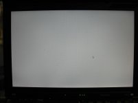 IMG_7289.jpg