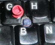 x61.jpg