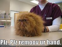 Please+remove+you+hand+Lol+just+lol+comment+rate+more_6950a5_239794.jpg Please+remove+you+hand+Lol+just+lol+comment+rate+more_6950a5_239794.jpg