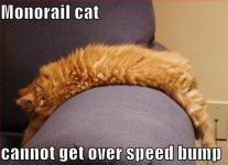monorail-cat-speed-bump.jpg monorail-cat-speed-bump.jpg