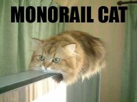 monorail-cat_large.jpg monorail-cat_large.jpg