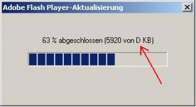 flashplayer.JPG